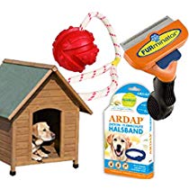 amazon angebot des tages hunde produkte