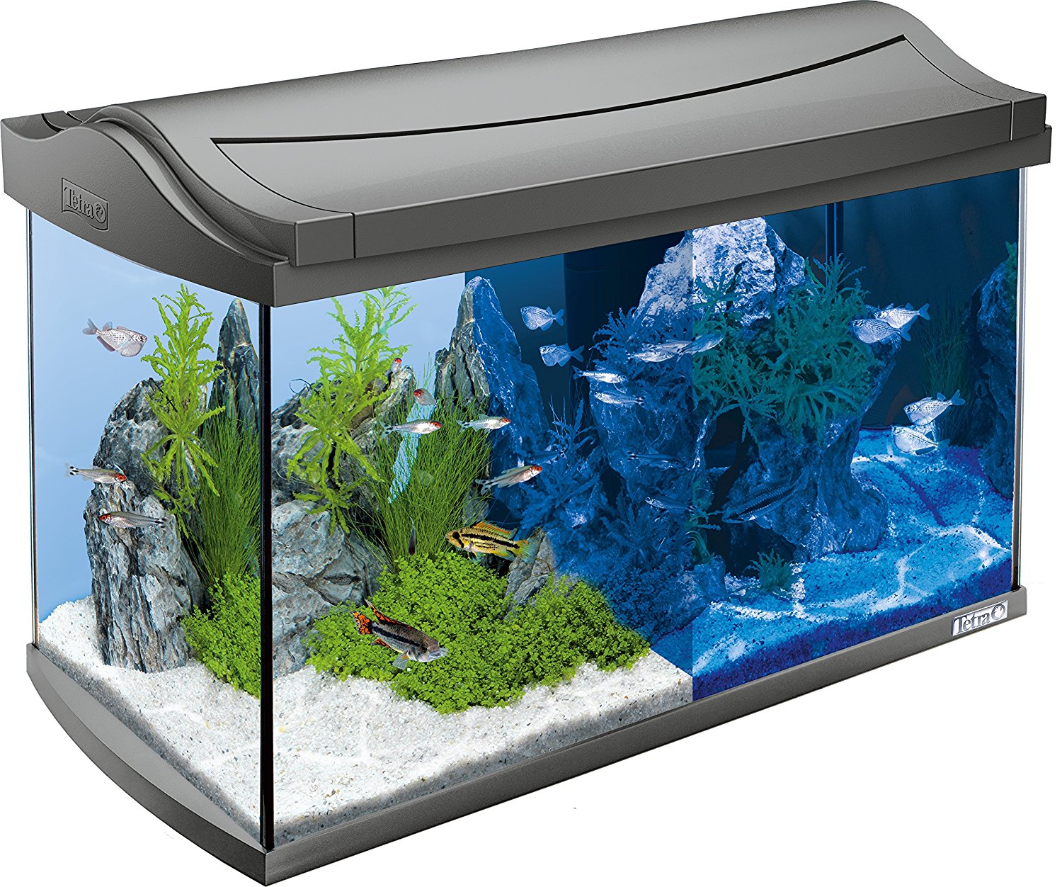 tetra aquaart discovery line led aquarium komplett set