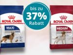 zooroyal royal canin angebote hund 3565 1140x305 e1558071477263