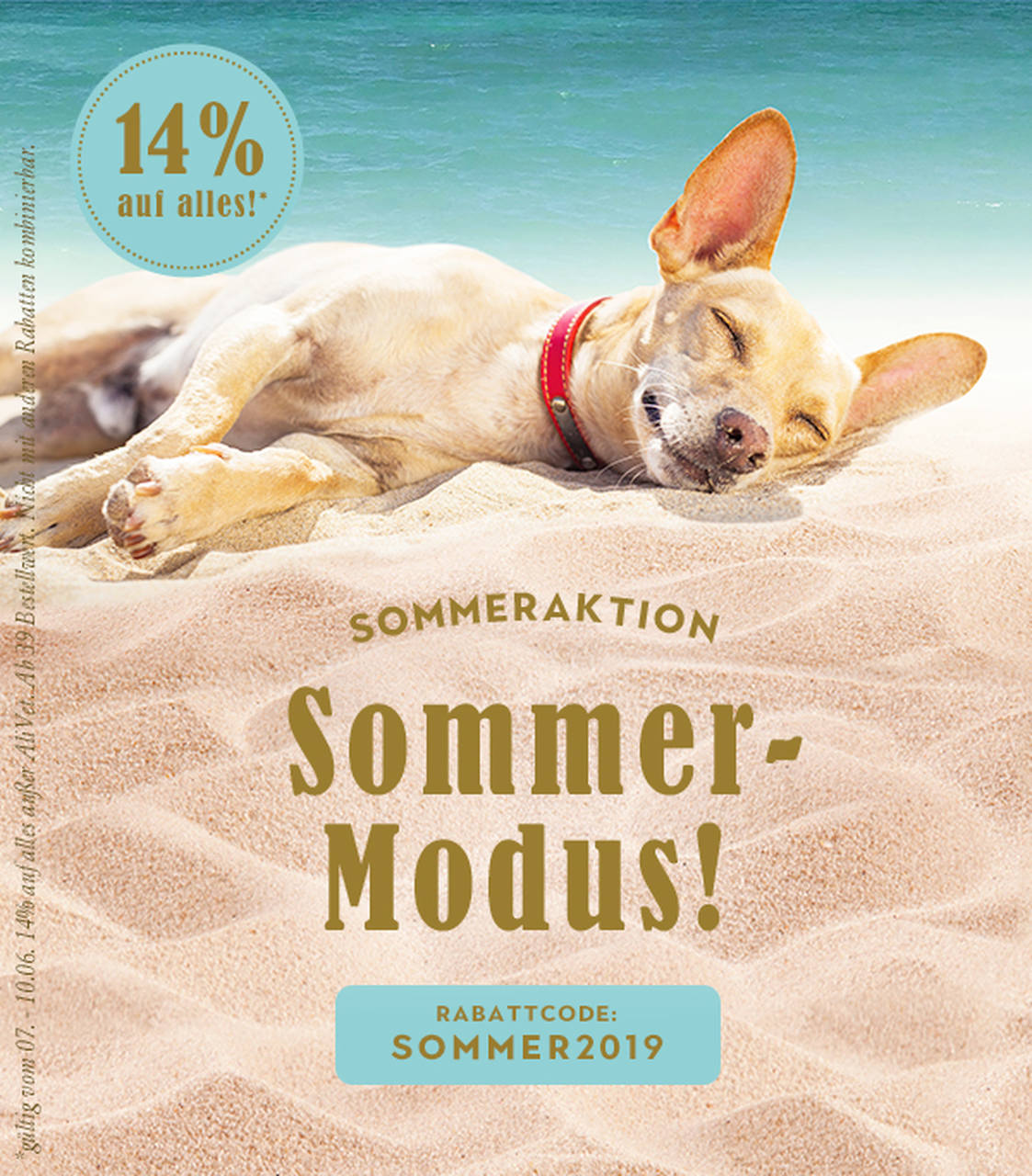 terracanis sommermodus2019