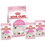 zooplus kittenbox von royalcanin 07 19 e1564050745380 150x140 1564050766