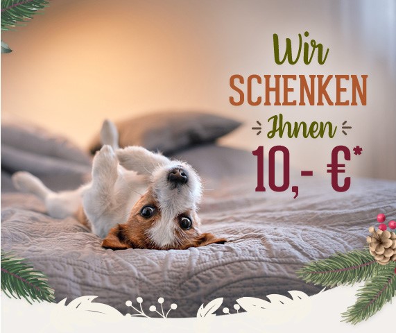 alsa wir schenken 10 euro 11 19