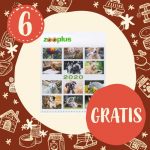 zooplus adventskalender 19 tuerchen 6 kalender2020jpg