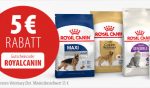 zooplus royal canin angebot 12 19 e1576698408741