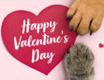 2020 01 ValentinesDay Freebie 1000x320 DE 150x116 1581424394