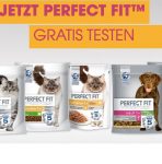 perfect fit gratis testen q2 2020