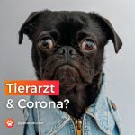 tierarzt corona pfotendoctor