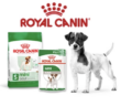 Royal Canin Hundefutter bis zu 23 Prozent günstiger