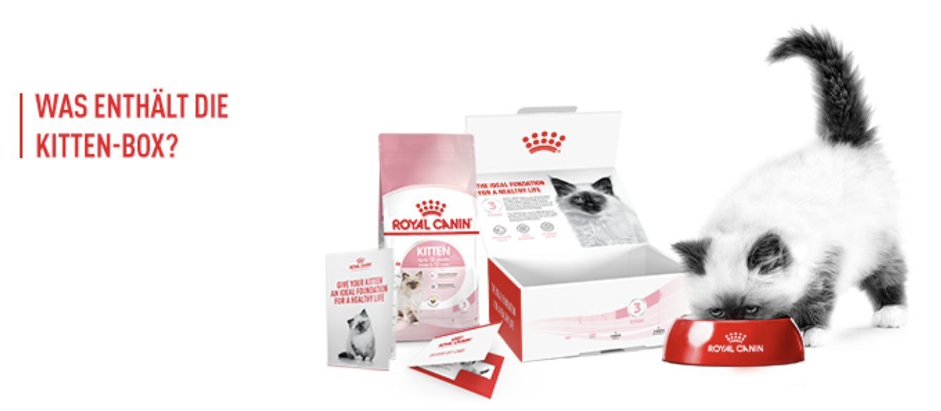 royal canin kitten probierbox kostenlos