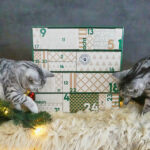 220915 AdventCalenderMood13 75d8aef4 ec2d 44d5 9b74 321c79f9cde9 640x