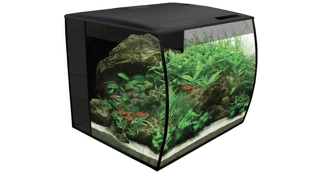 Aquarium und Terrarium kaufen 2023 Darauf musst du achten!