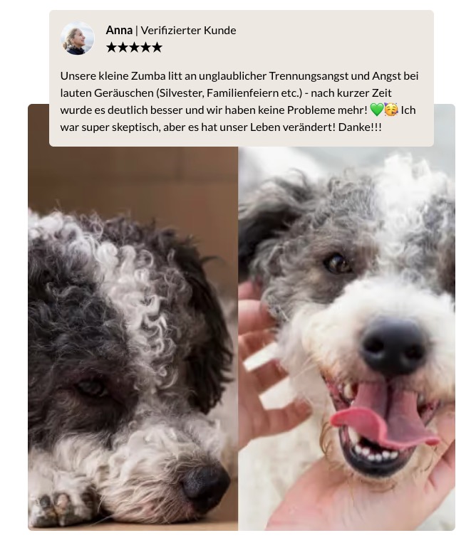 CleanShot 2025 12 17 at 08.56.30