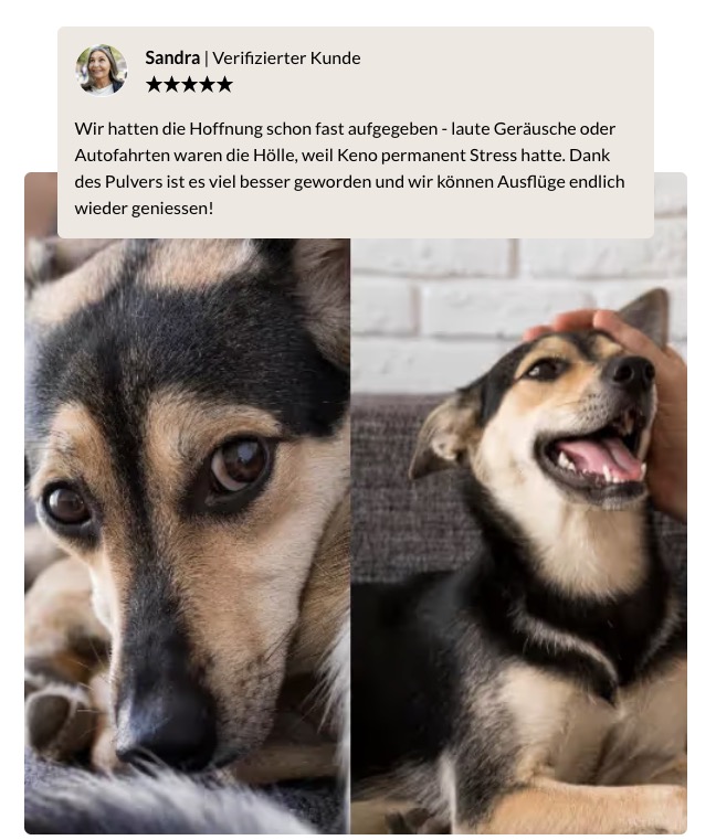 CleanShot 2025 12 17 at 08.56.40